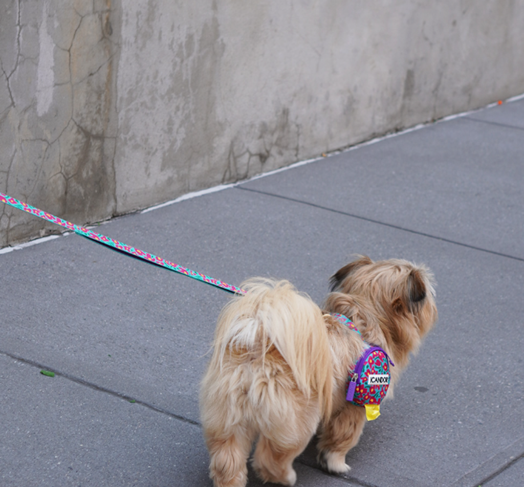 螢幕擷取畫面 2025-10-09 141958