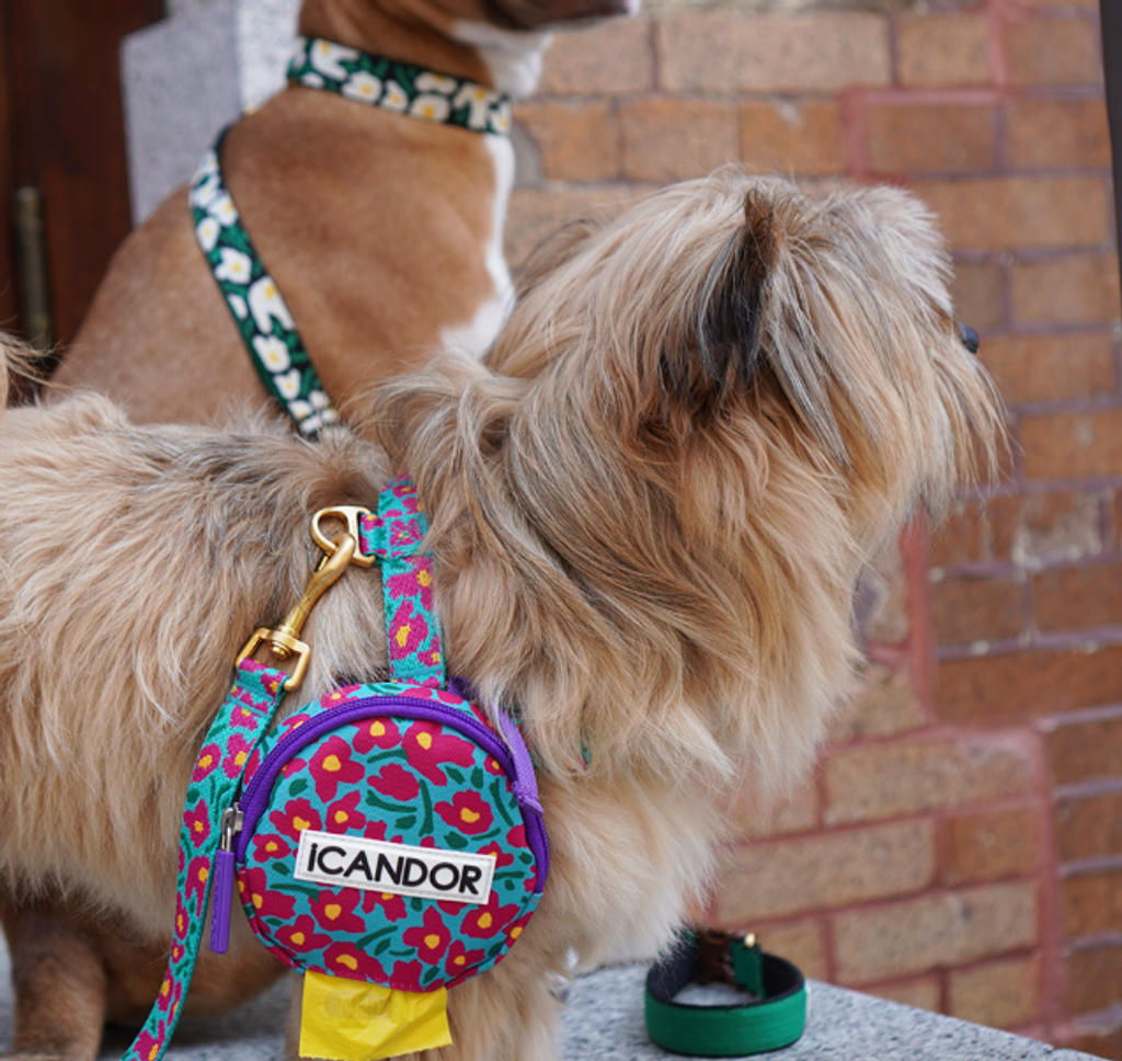 螢幕擷取畫面 2025-10-09 141951