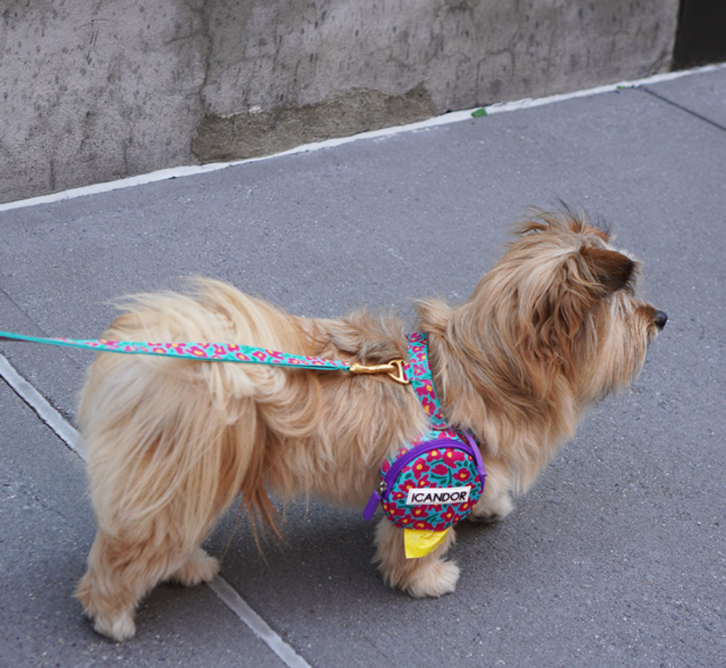 螢幕擷取畫面 2025-10-09 141943