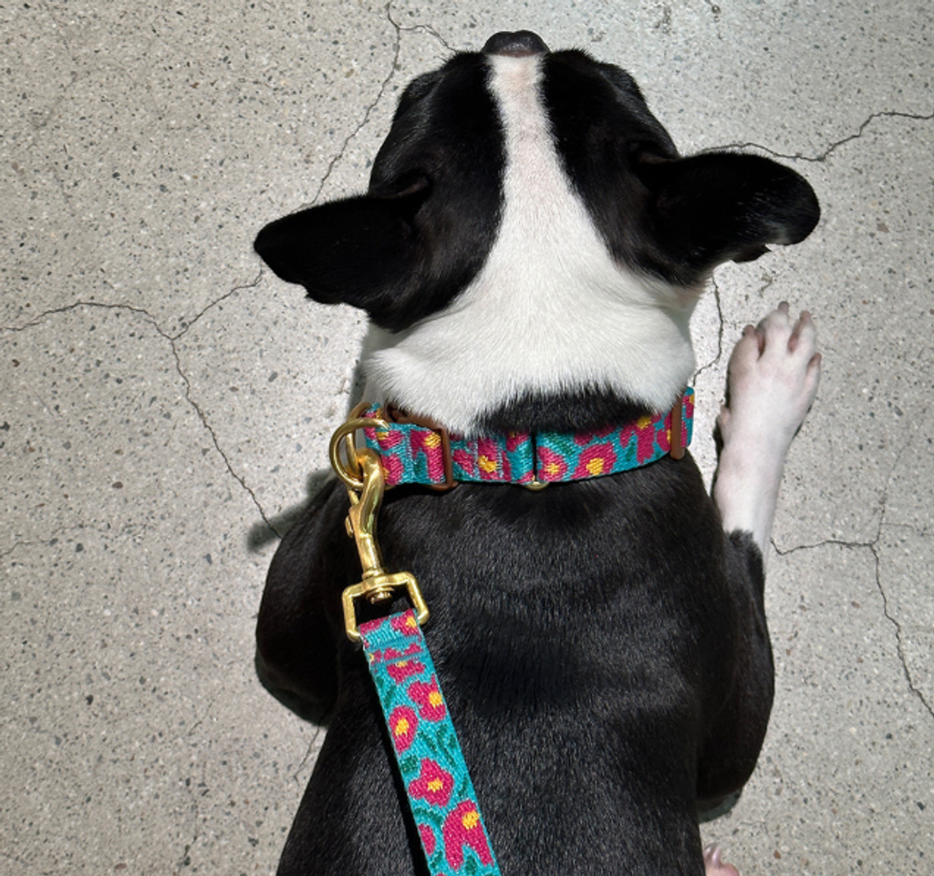 螢幕擷取畫面 2025-10-09 142048