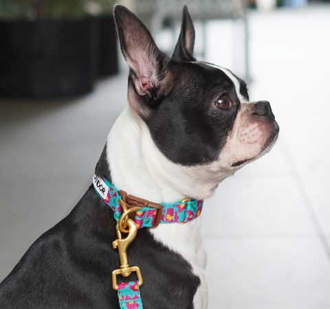 螢幕擷取畫面 2025-10-09 142041