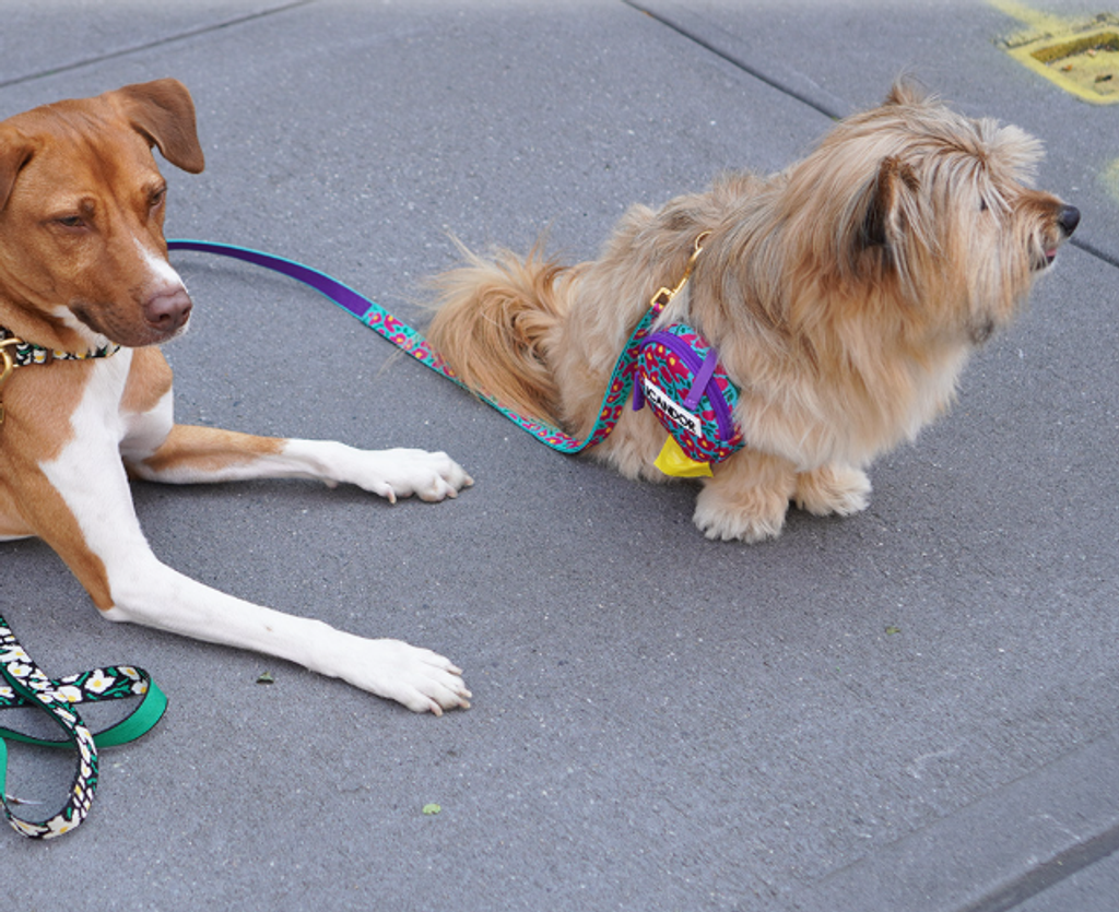 螢幕擷取畫面 2025-10-09 142029