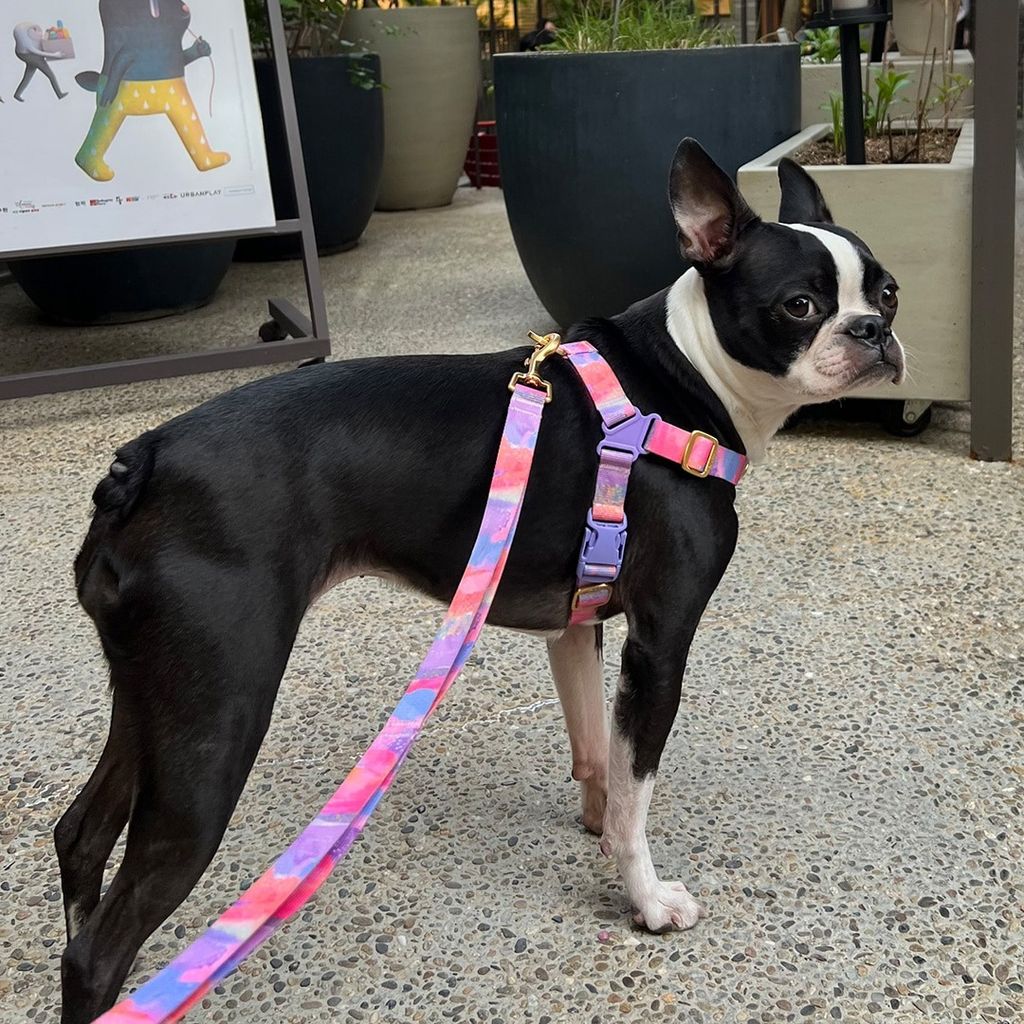 imgi_20_c1b0104f10d2c974d704896dda0ef841