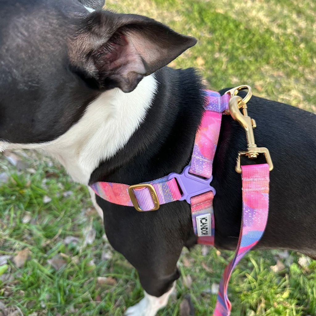 imgi_21_7dbdf12cb03e0dcd673c4f6012c4f6f1