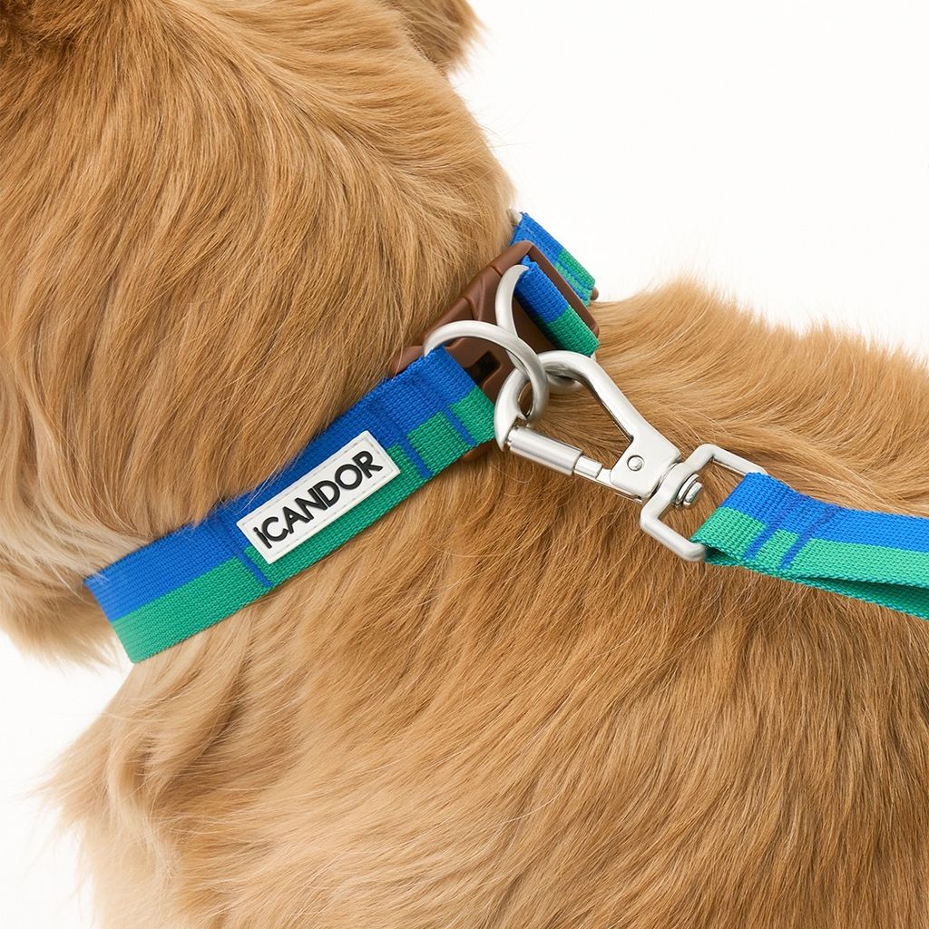 imgi_16_720b7c3e32d1340875606cf9f627cc2e