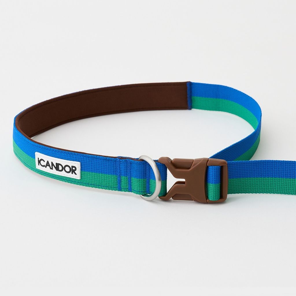 imgi_11_987e693b421570330b60596d162c84cb