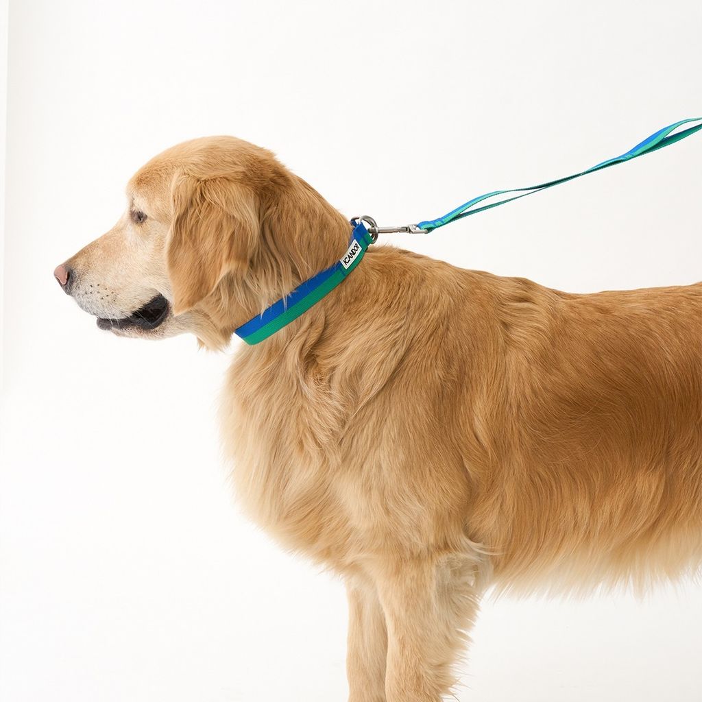 imgi_17_762ef1920676a4b9326518b51426d658