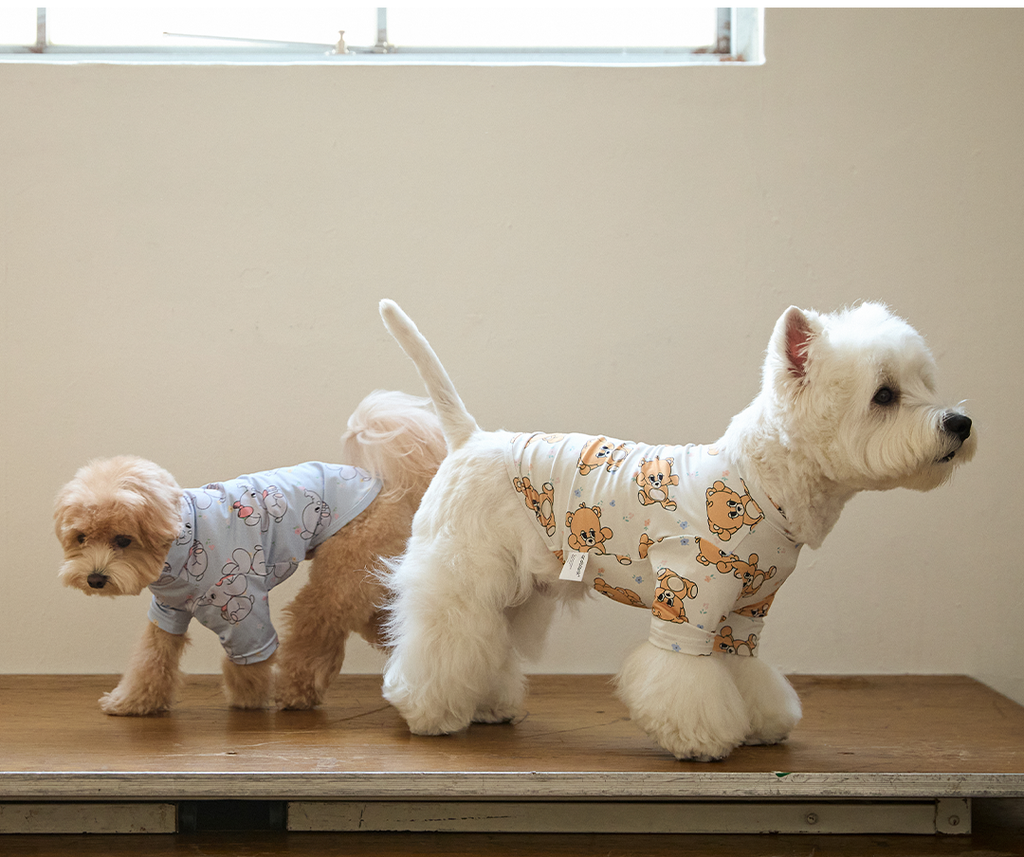 imgi_106_451344797f4f1拷貝2