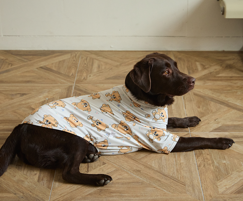 imgi_106_451344797f4f1