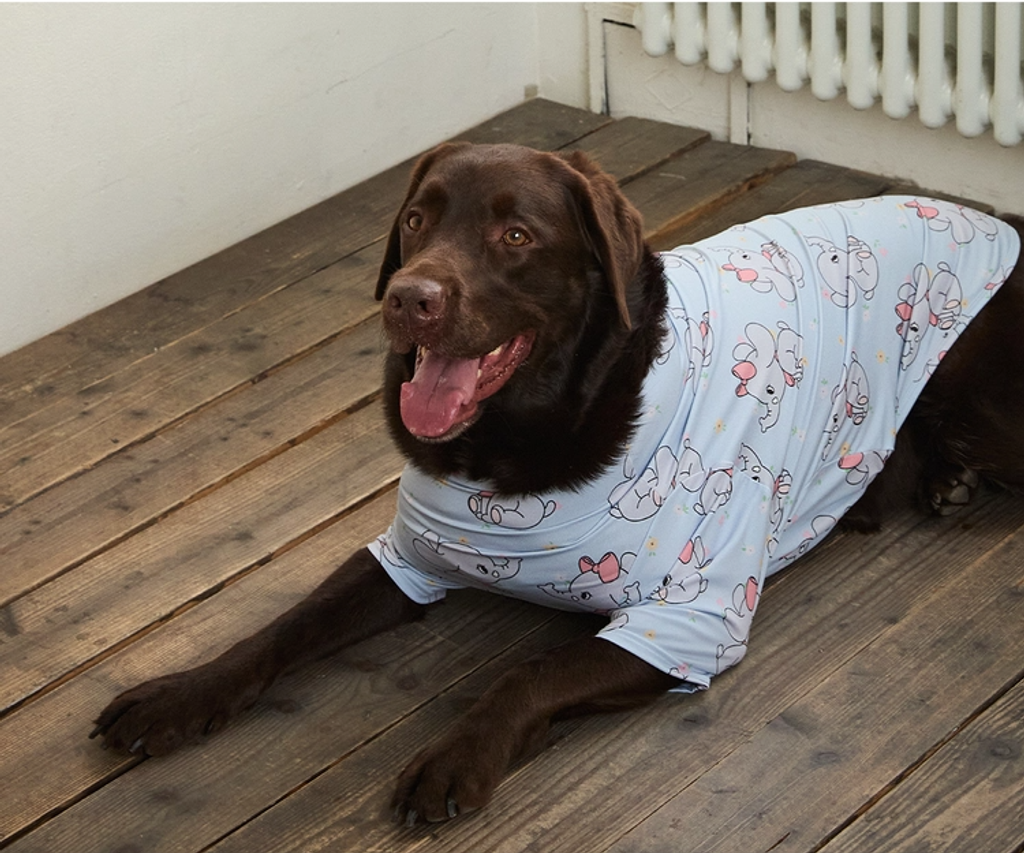 imgi_89_1ede550b27b08拷貝