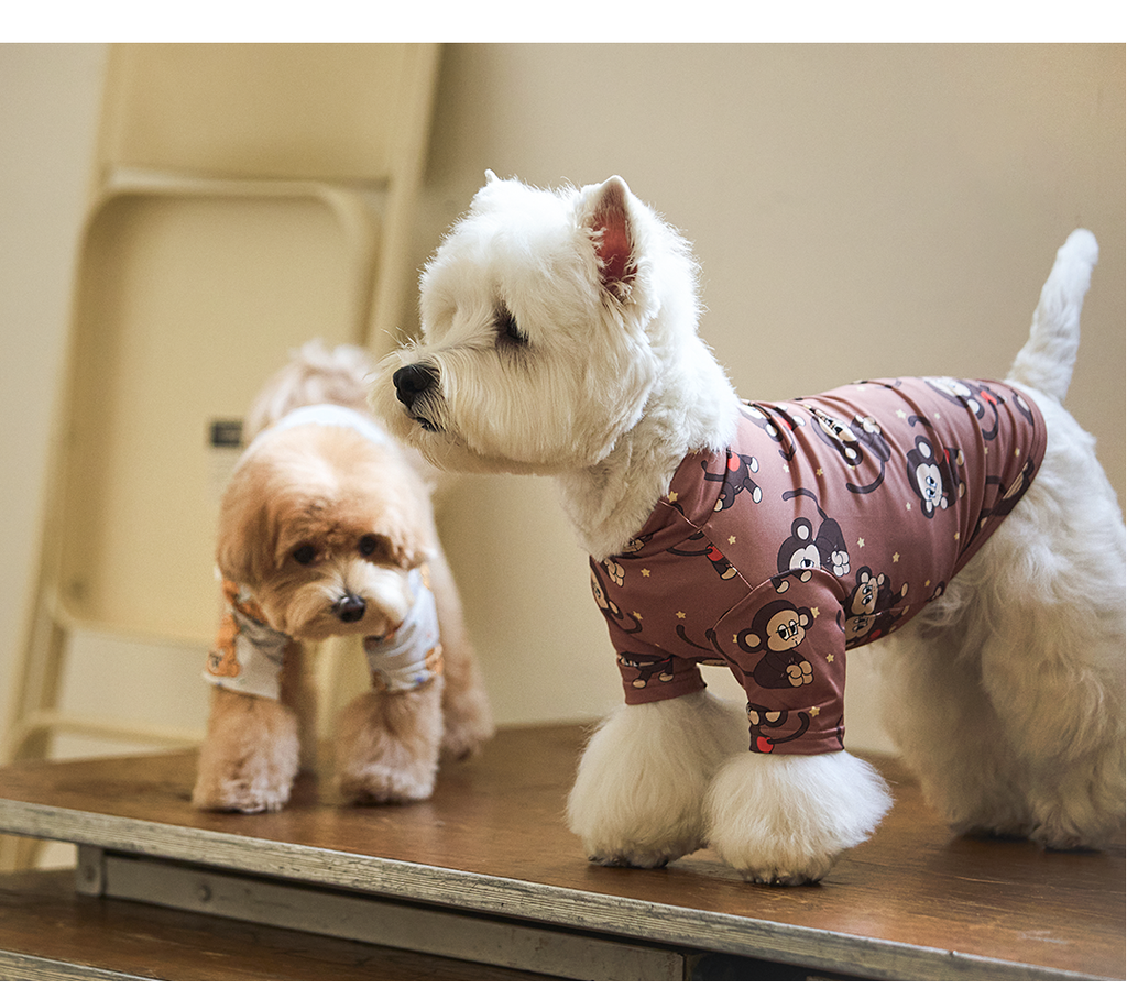 imgi_112_dd1e9cc966271