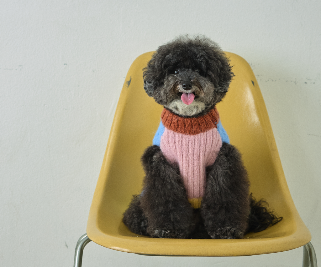 imgi_121_ed2a428d69bd1