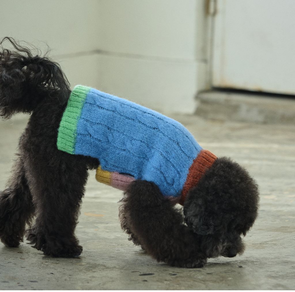 imgi_115_828fa38ed1468拷貝