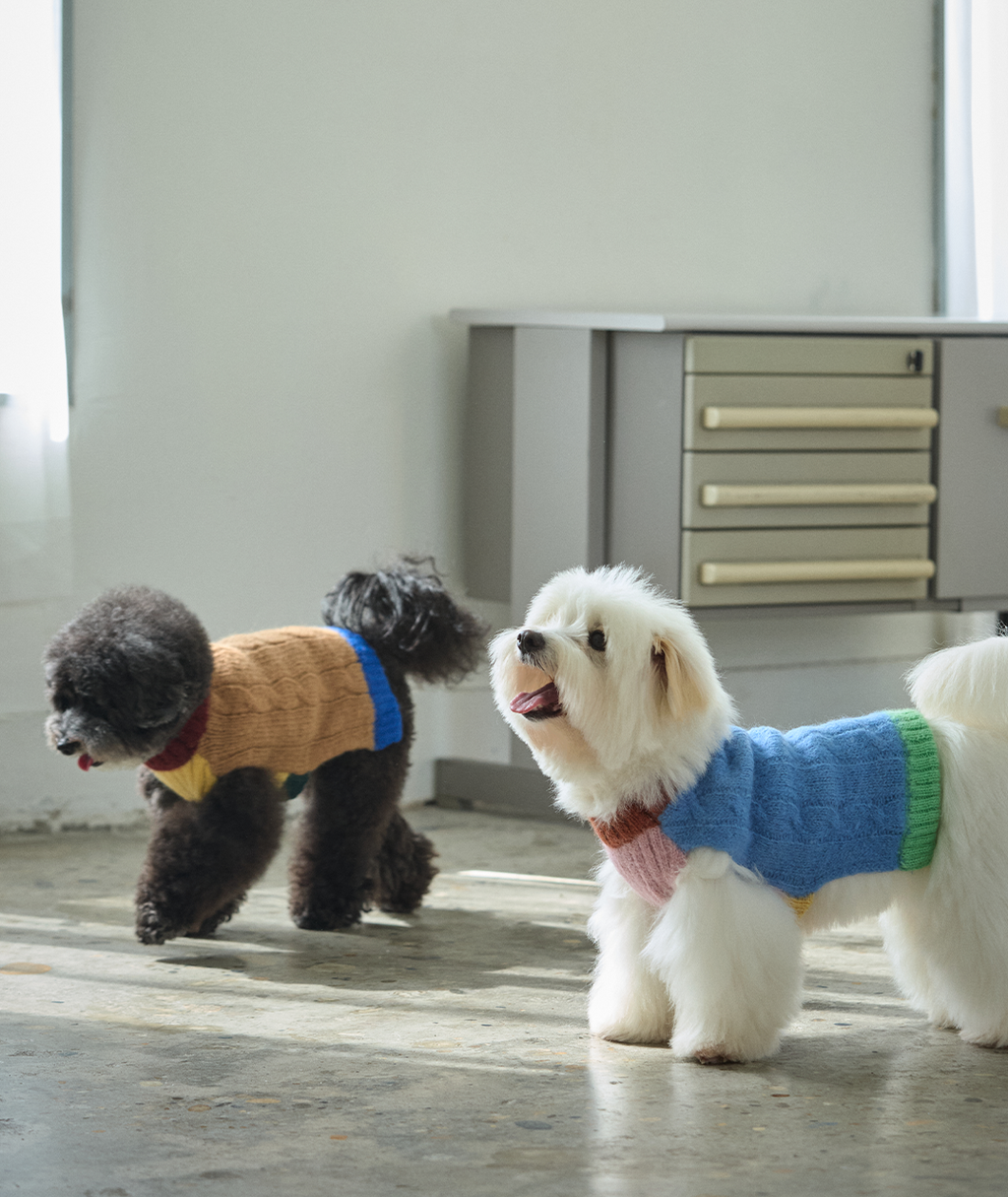 imgi_116_4f6abd759dd31