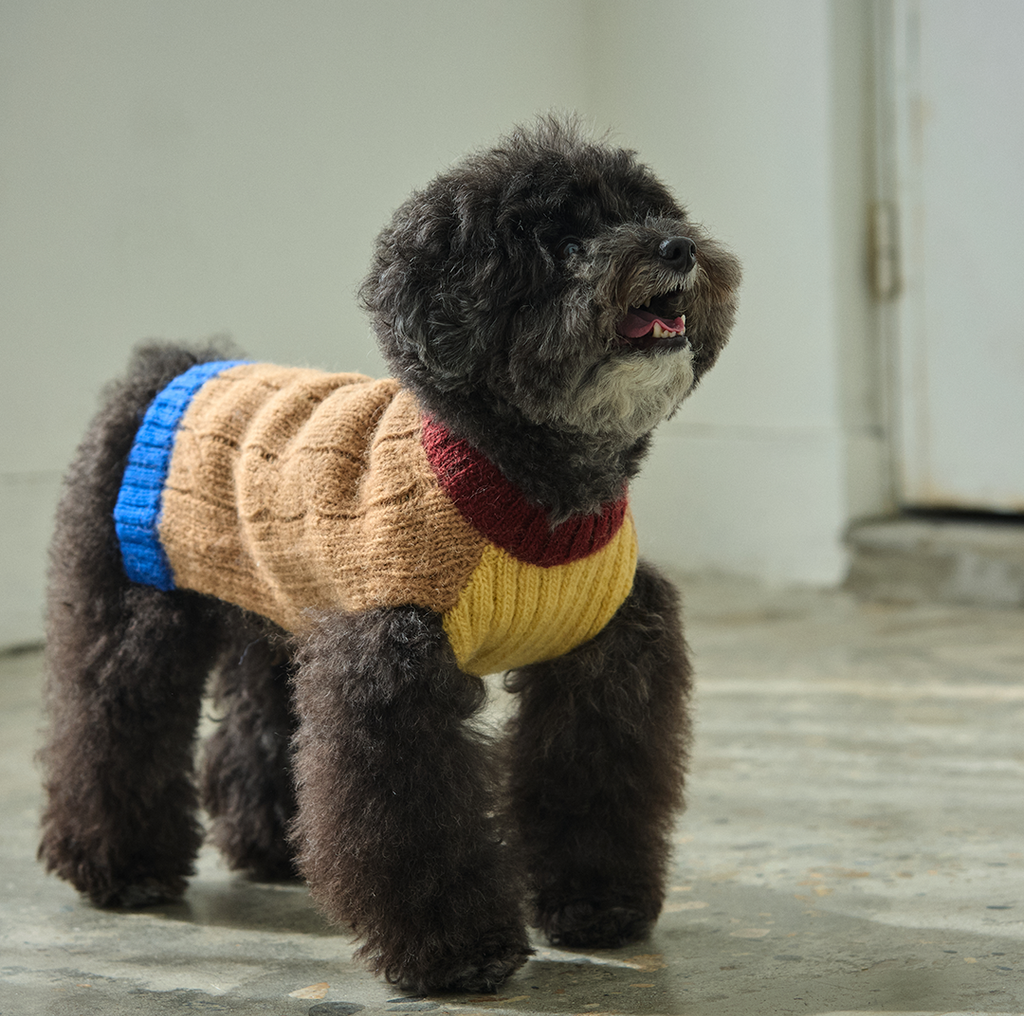 imgi_118_eb06f6f1b339f