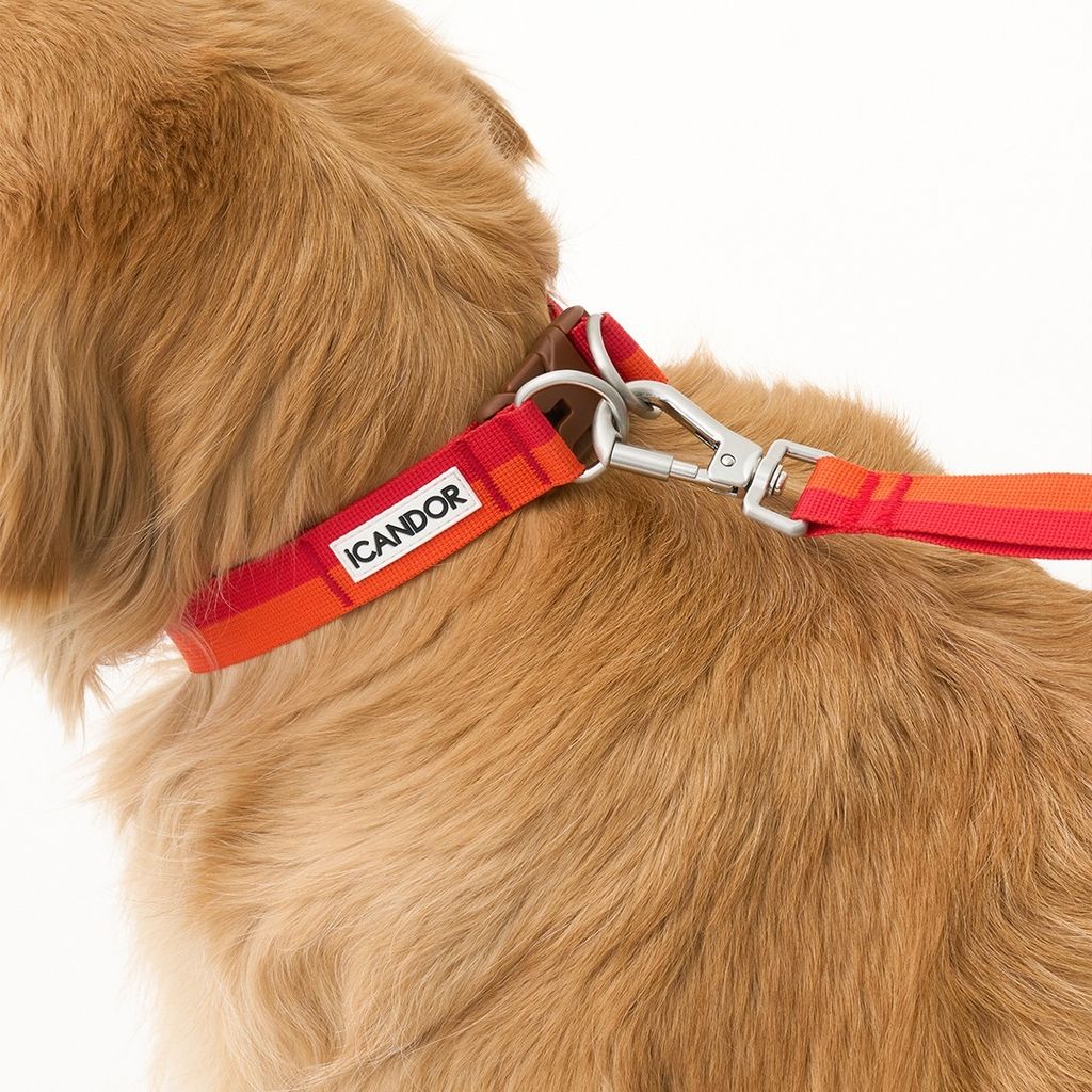 imgi_16_64ce71e36c8d3816043654808532fd24