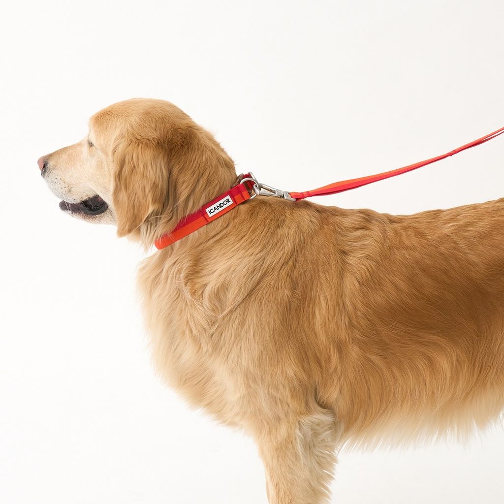 imgi_17_60cc20971515790ed5de05dab46fd631