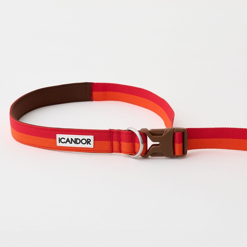 imgi_11_3ad3805bfc64e9288a3406093af7854b