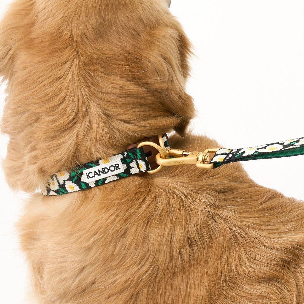 imgi_17_d372eb05bb5a5fe44b9e135047e8e763