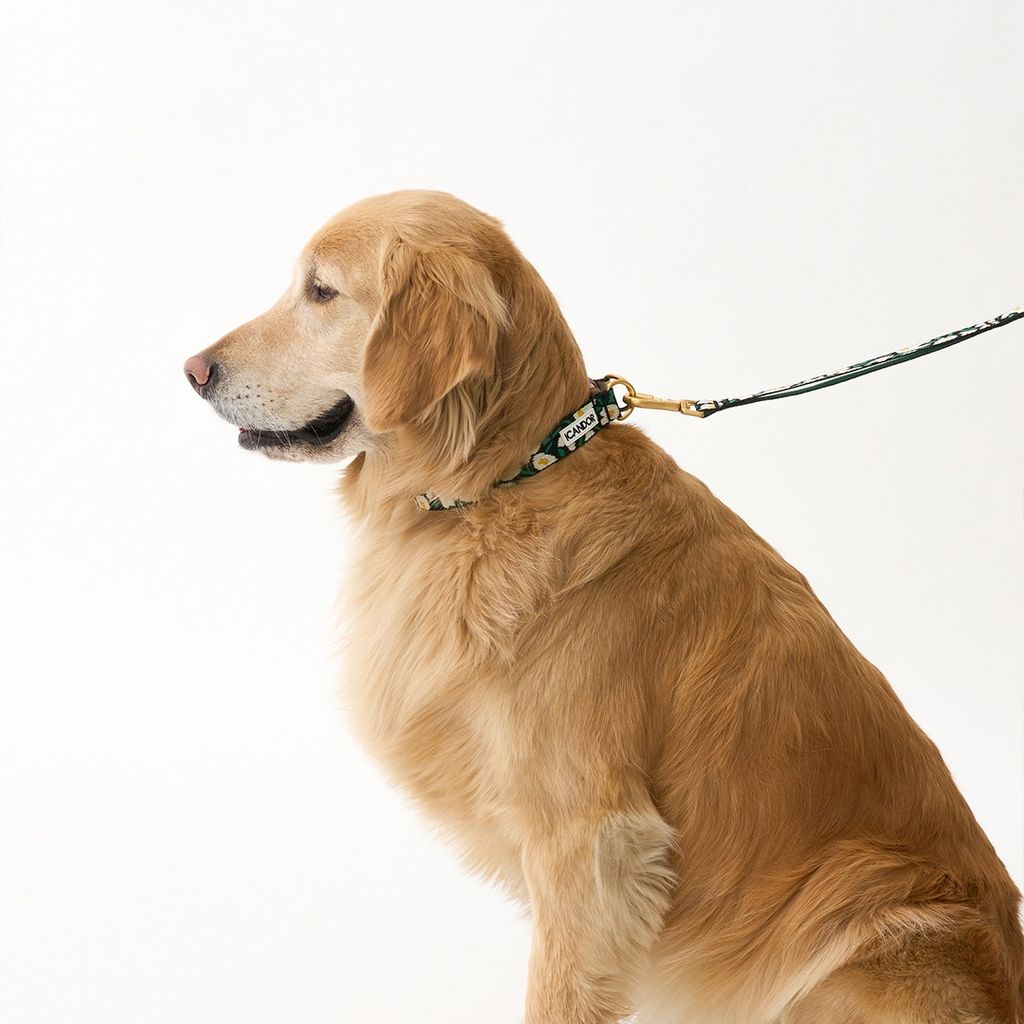 imgi_18_ec955038e9d7a3490ae457925486de39