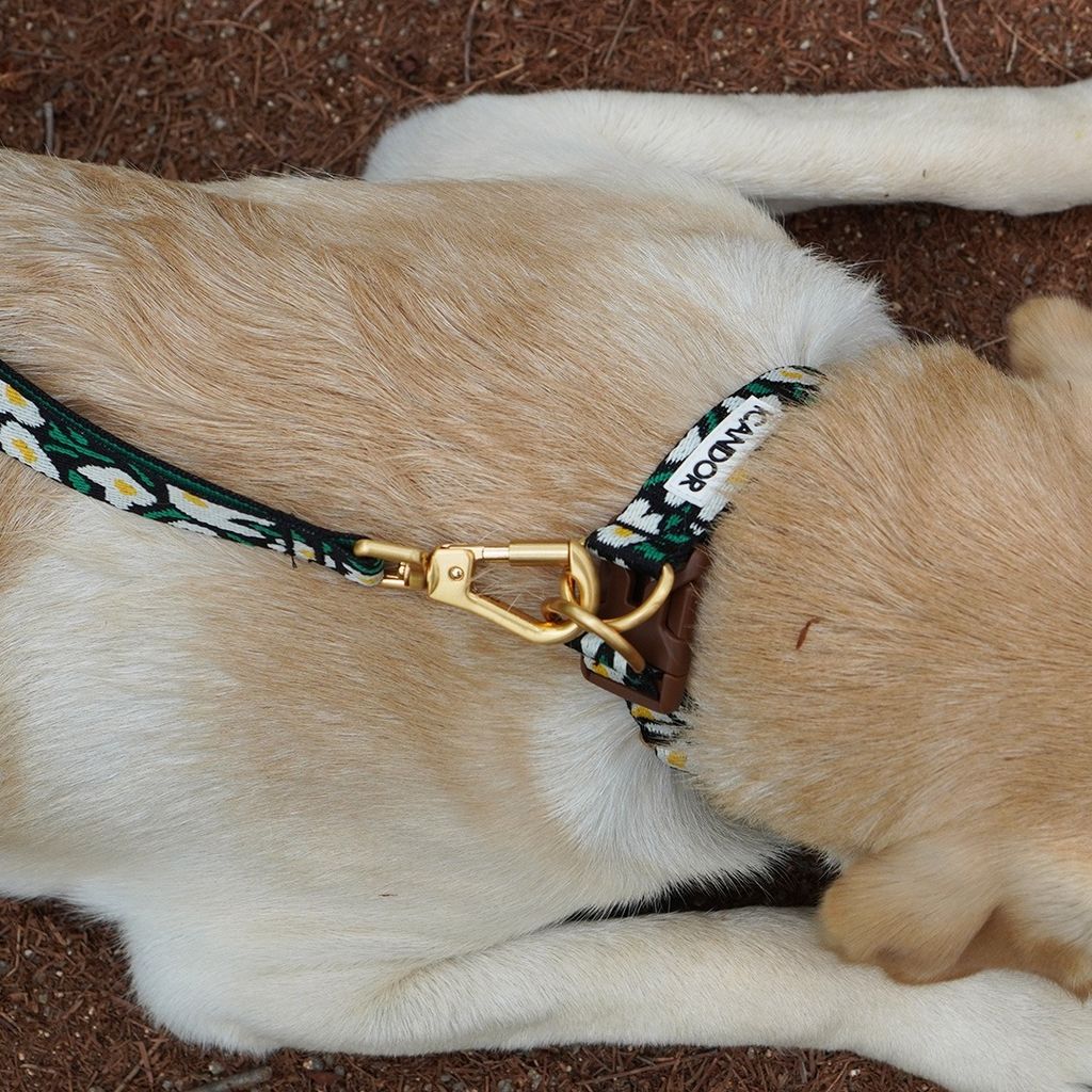 imgi_19_3275f6128d7c2bbde24de8498cea82f6