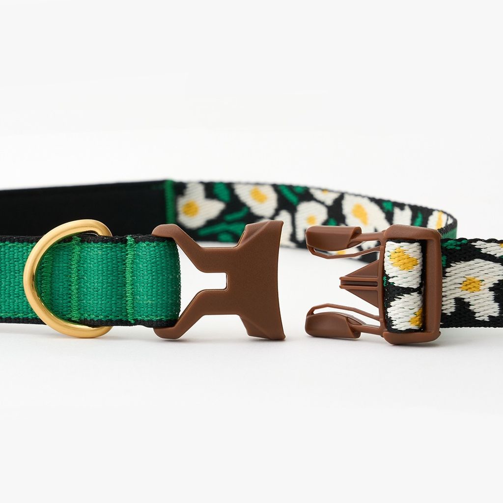 imgi_12_4d6b2c81241eaff0cd6e4777fcc6ccb2