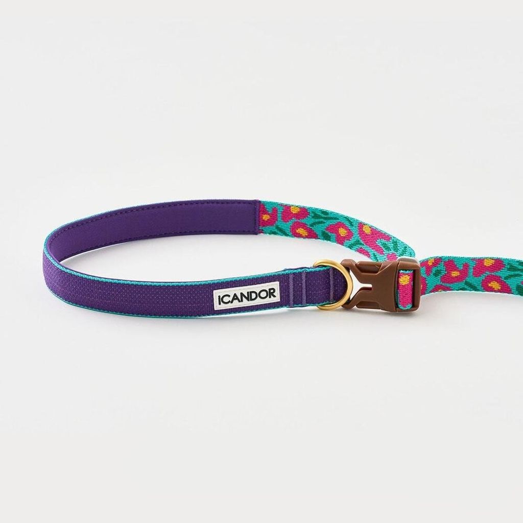 imgi_5_e43e6fd050d859ba6dd2e8421a865e46