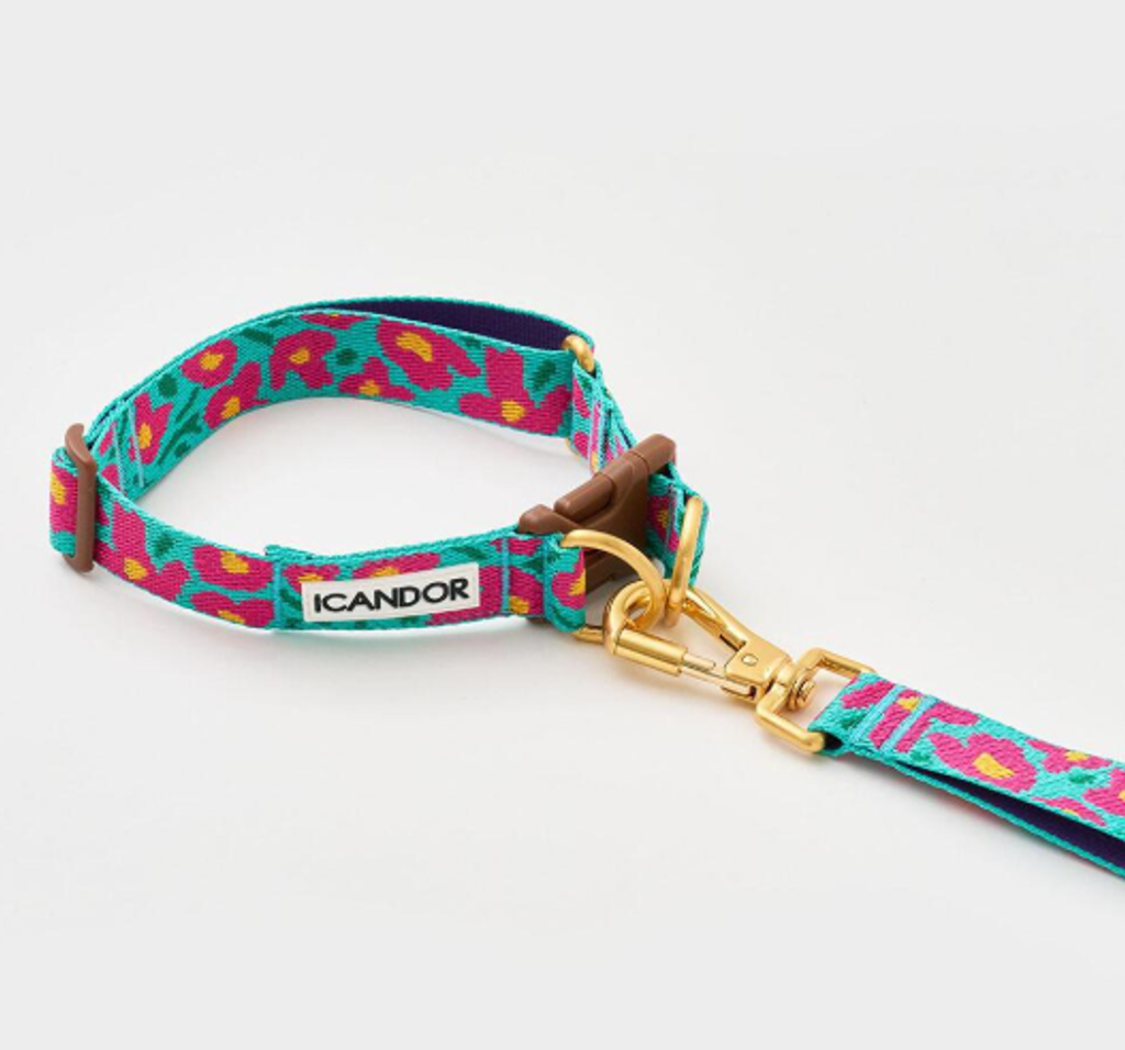 螢幕擷取畫面 2025-10-22 131012