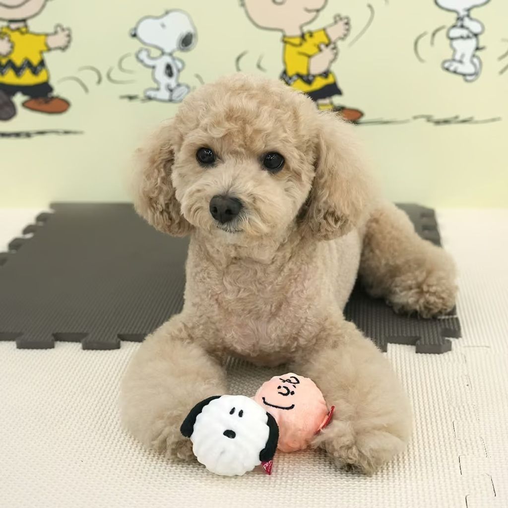 imgi_62_P-115.PEANUTS-PEEL-OFF-BALL-TOY_首圖