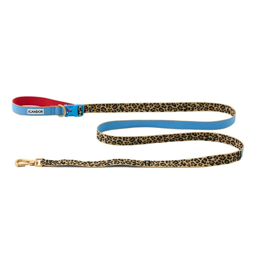 imgi_5_80592e20200aee708929c124b7fdd02b