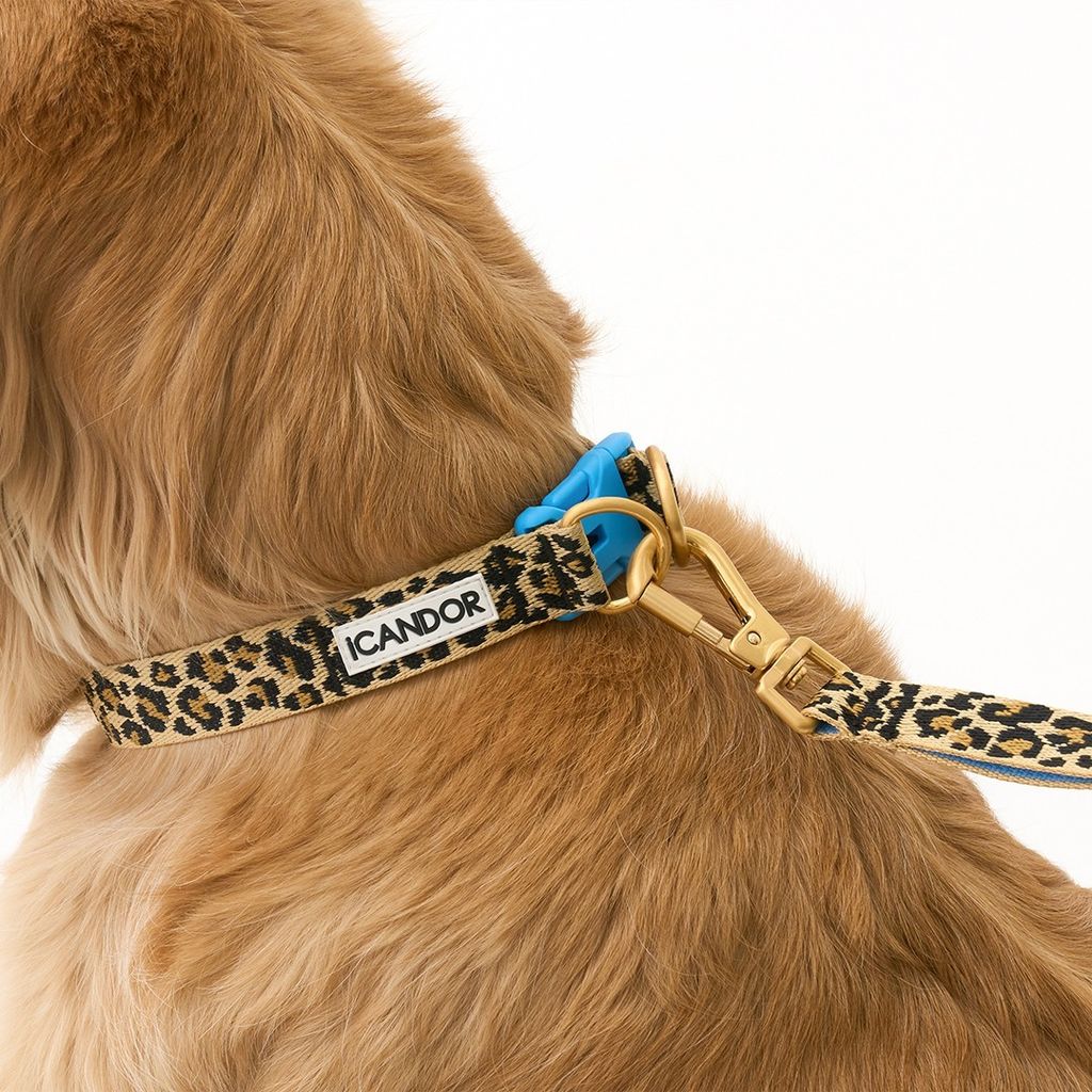 imgi_18_3205857af595ecdb586cb249bbced5a4