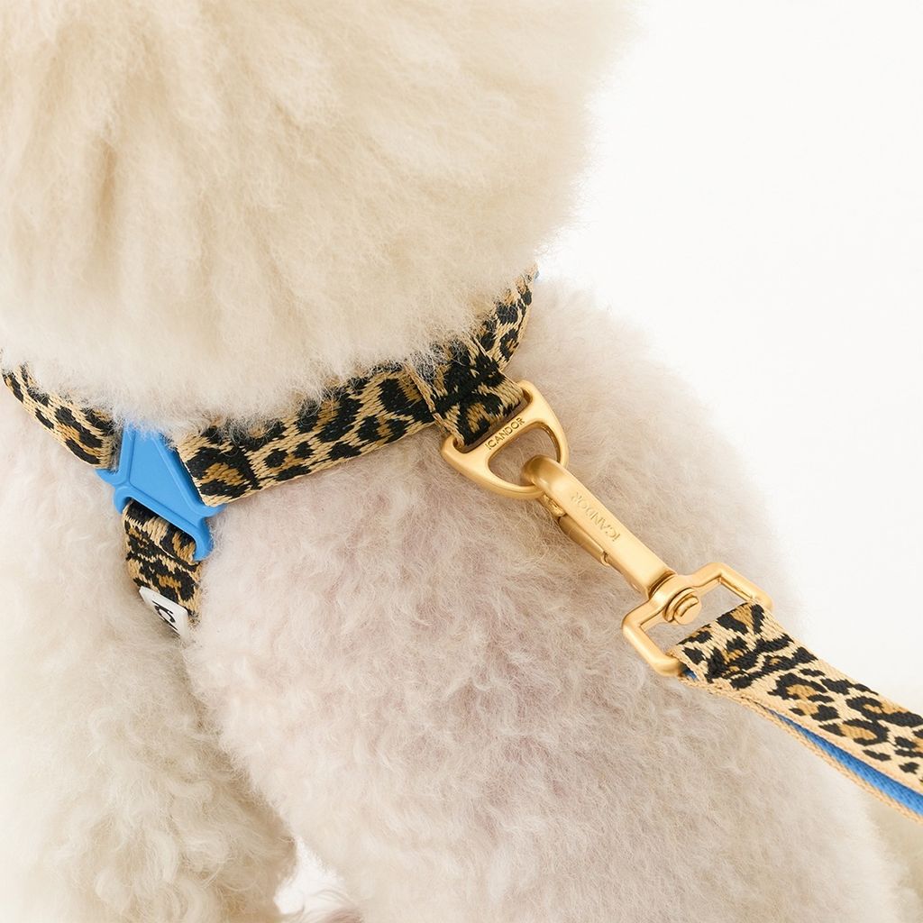 imgi_17_4c7efe8bce675a12bd7af45b2565754f