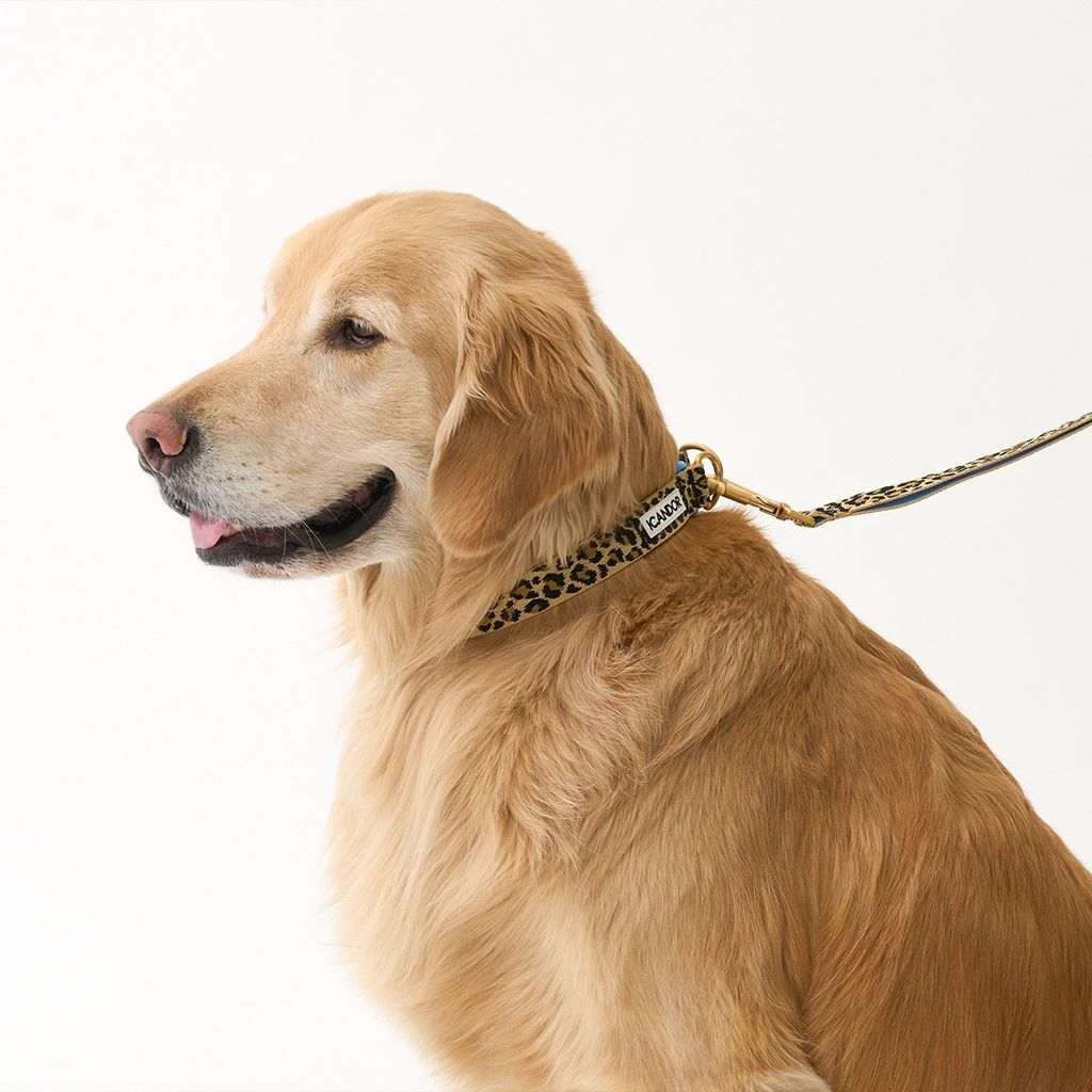 imgi_19_ec142d4c324a39835d0fd7fb85204e47