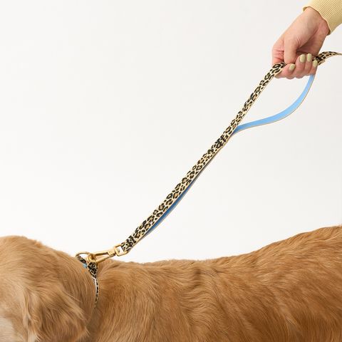 imgi_21_d8c67a7b5dfb51df0cf0f39e4a1291c1