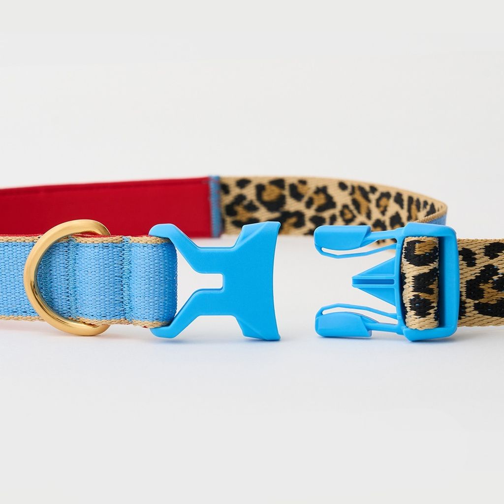 imgi_12_08a53bc380a23c094aa1fcb2bd7d6e84