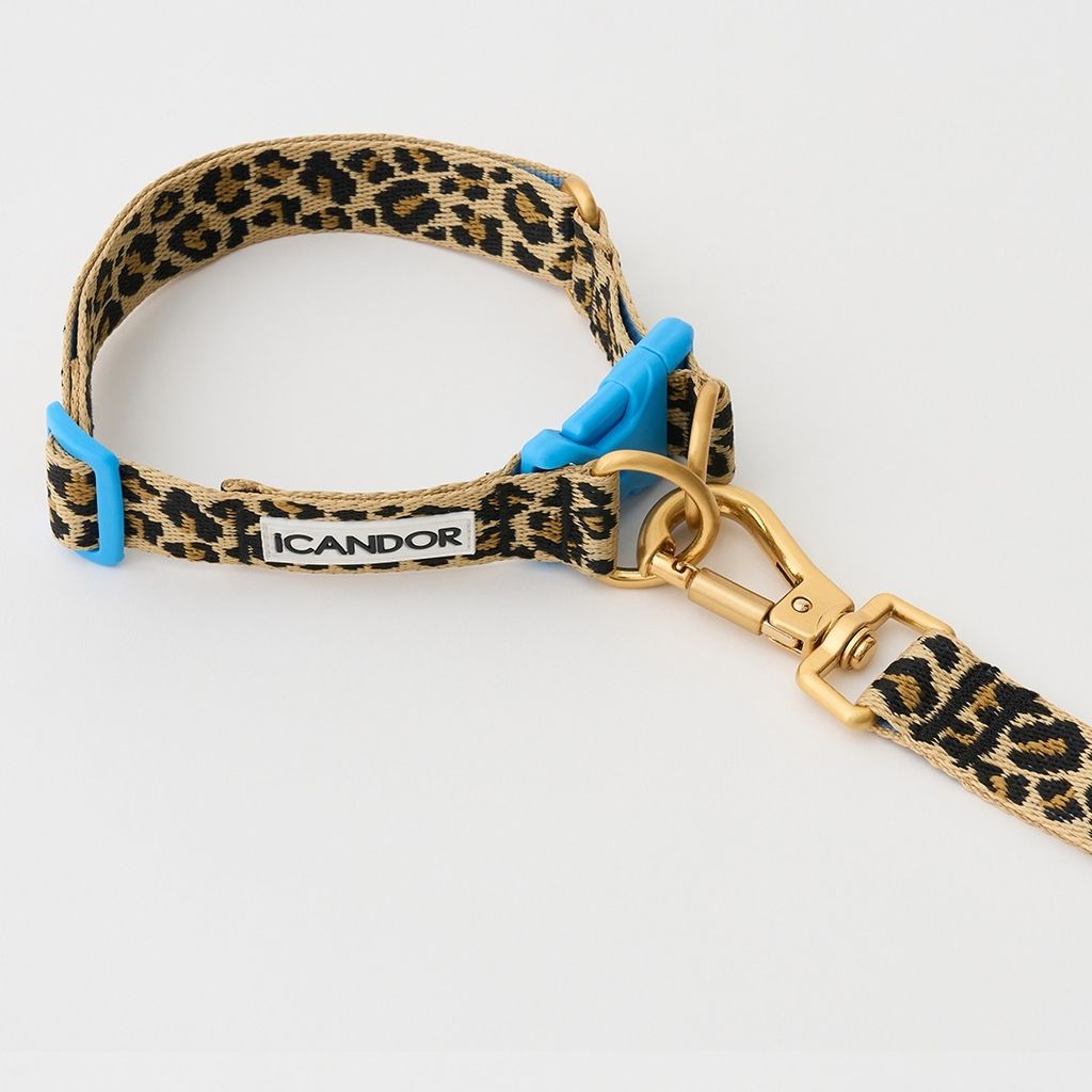 imgi_13_13aefb6012dec0f996f4e32fd9a030c4