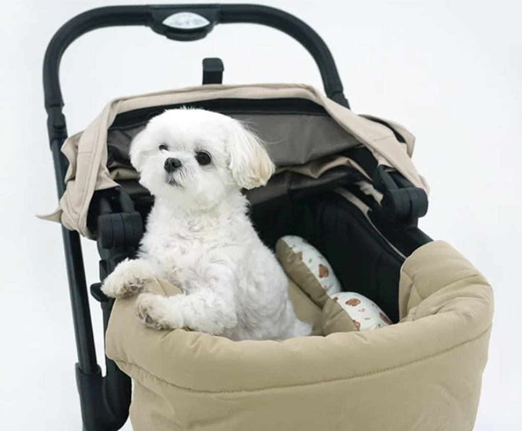 螢幕擷取畫面 2025-10-22 193852