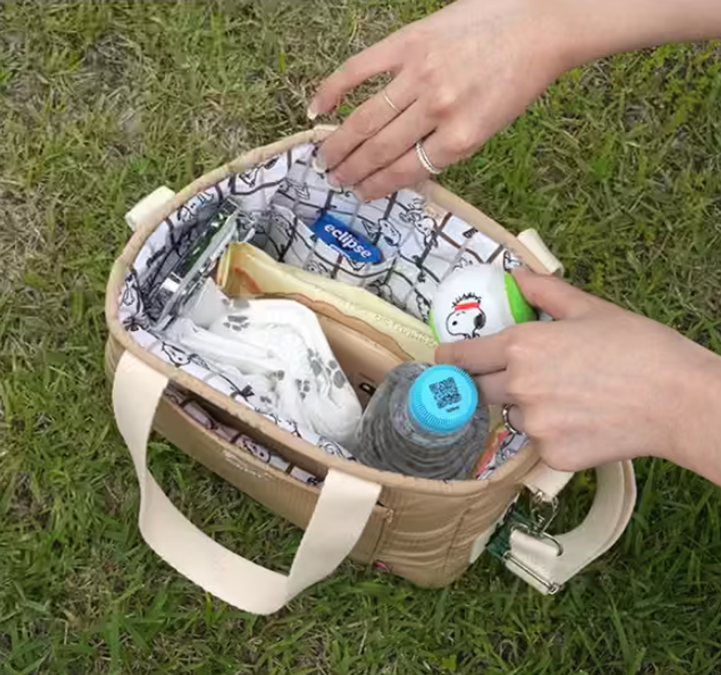 螢幕擷取畫面 2025-10-22 194225