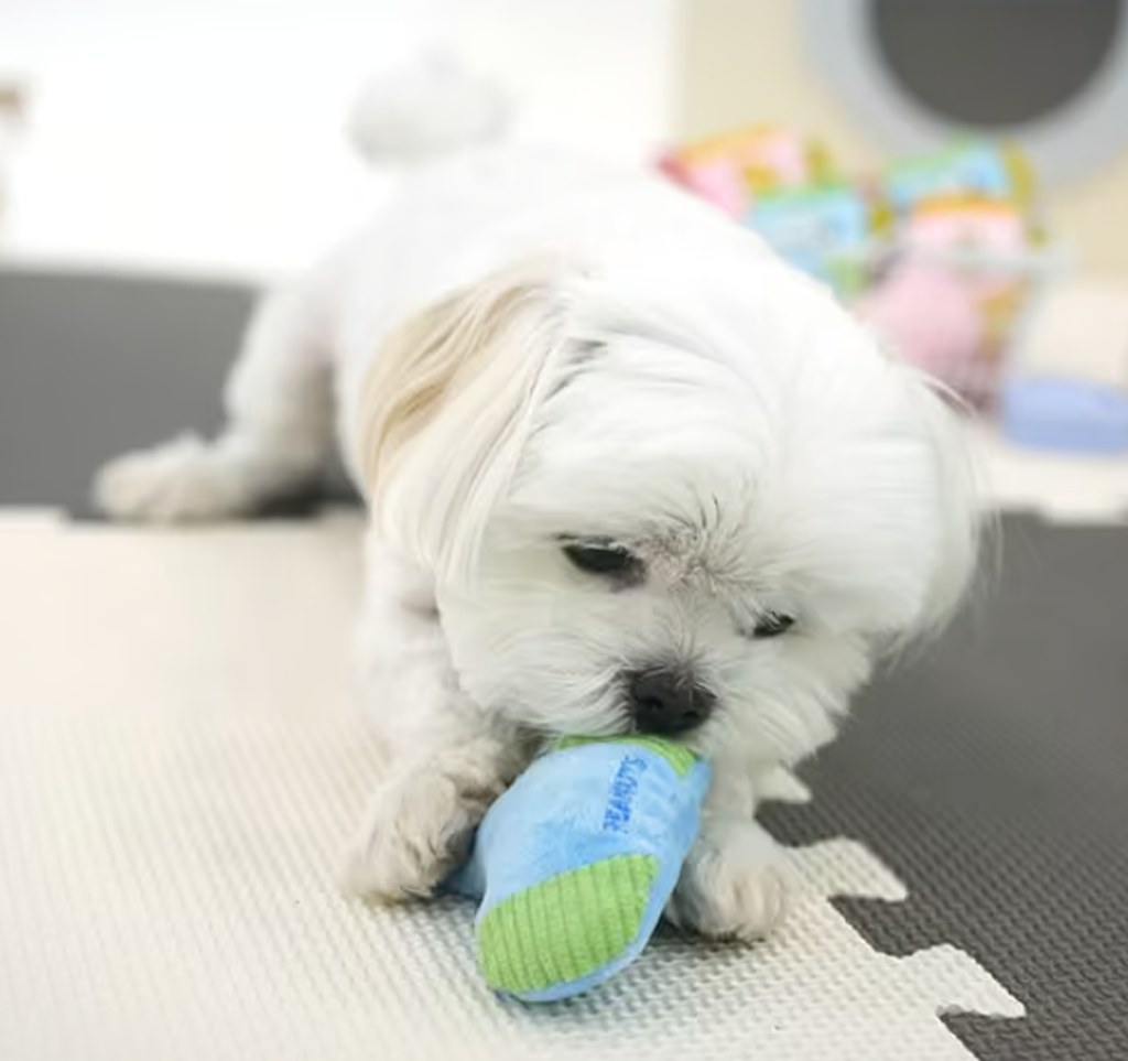 螢幕擷取畫面 2025-10-22 202339