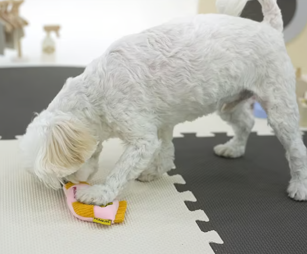 螢幕擷取畫面 2025-10-22 202330