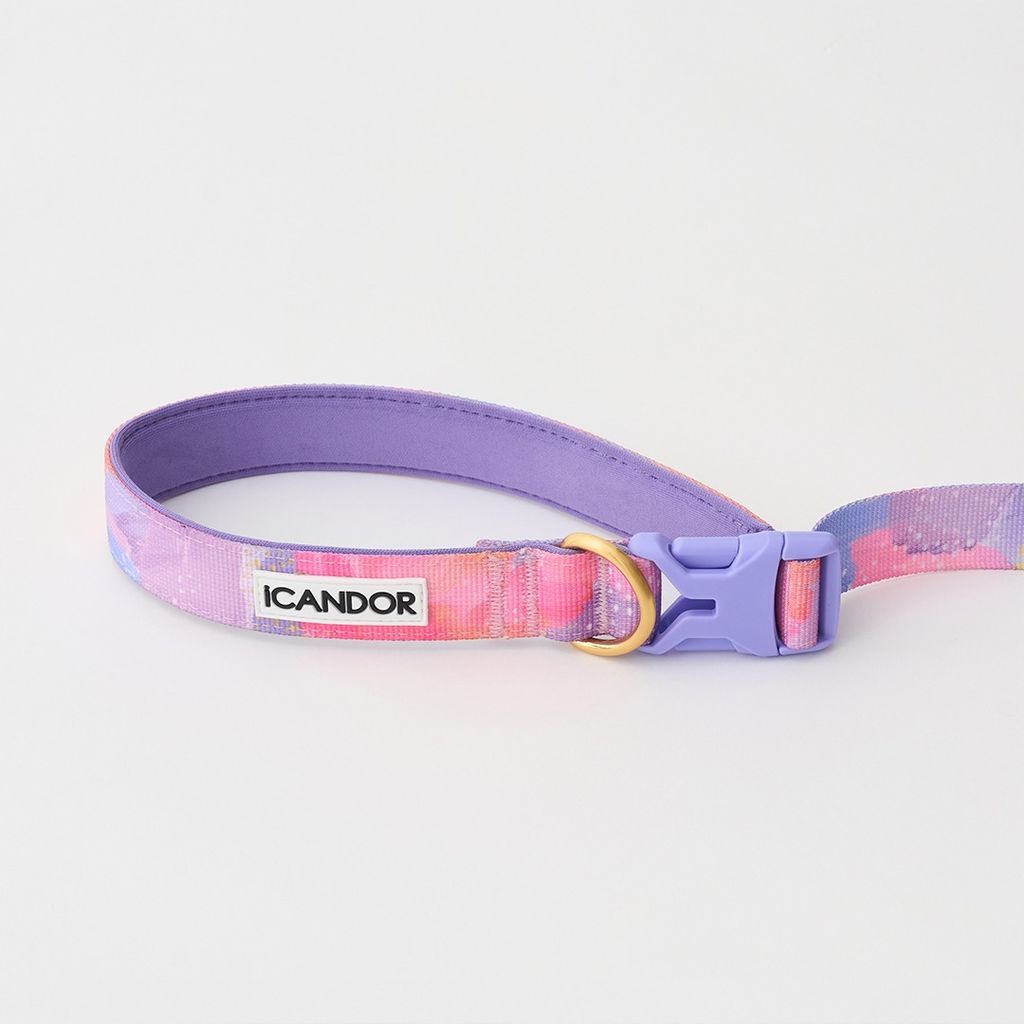 imgi_10_516877deddf52684c38619c069b71c64