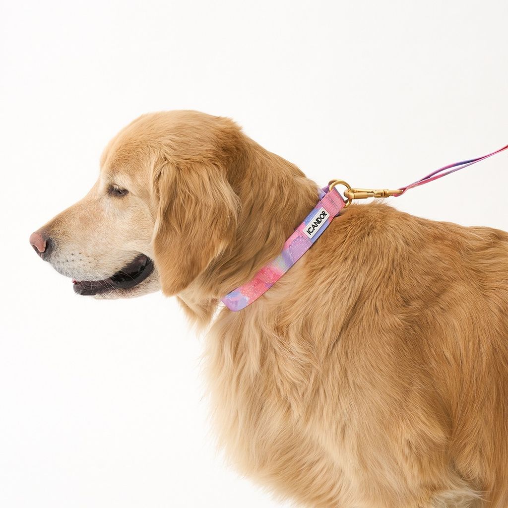 imgi_18_87364c95855ce3a9cb65246df119a1b7