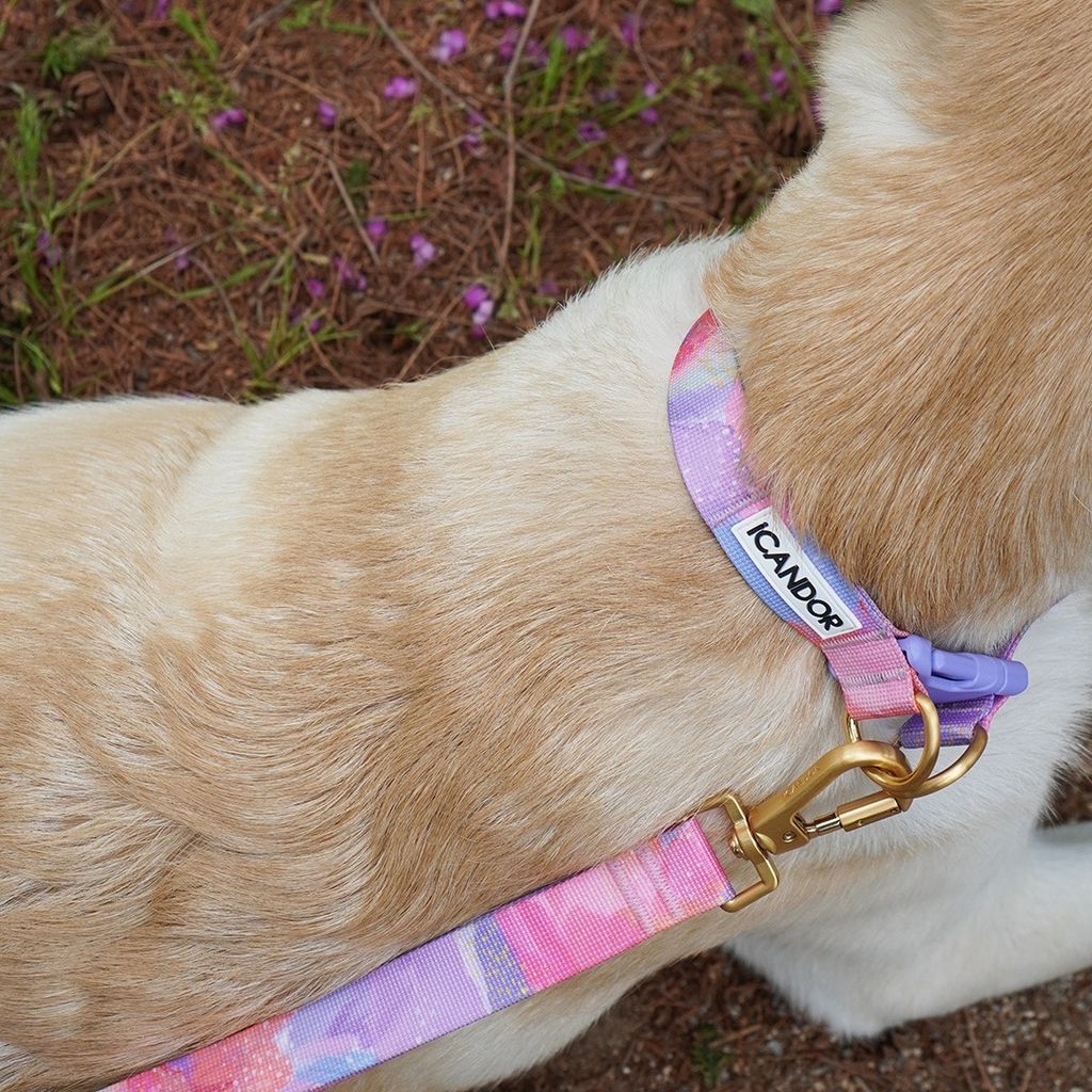 imgi_21_4ef6f34a6550595fc21bbe1fc0fe680d