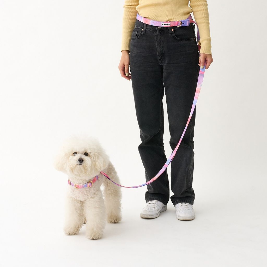 imgi_20_8029389a981b47a105b2d921ce2ce9a1