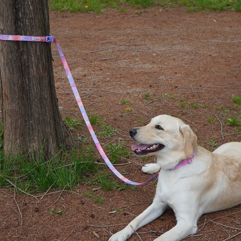 imgi_24_db849aa5be84767e85ea650d4fc055da