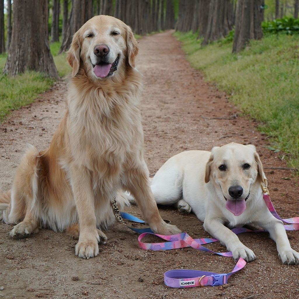 imgi_22_77852535c7884e13cf09751ca3357155