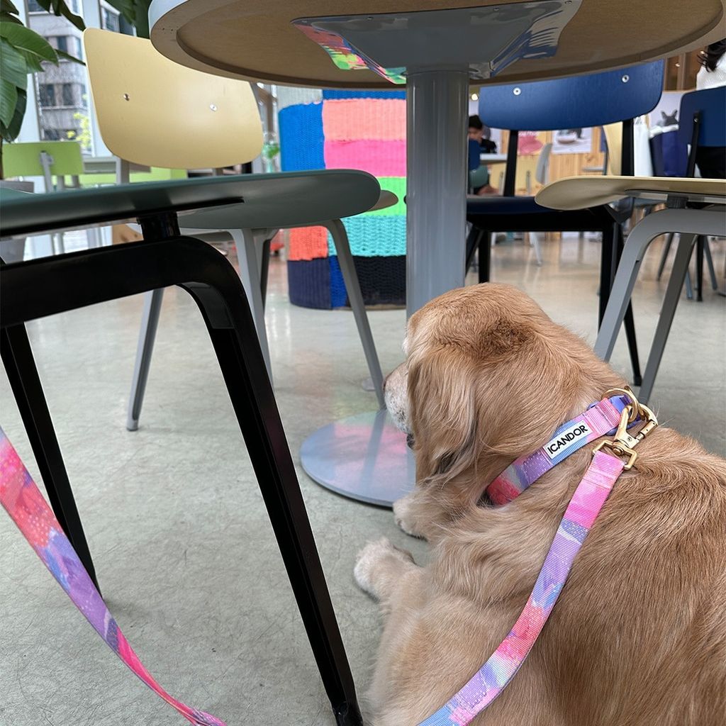 imgi_26_6b73a5bdd9b47fe6fe25a0ac1f441e42