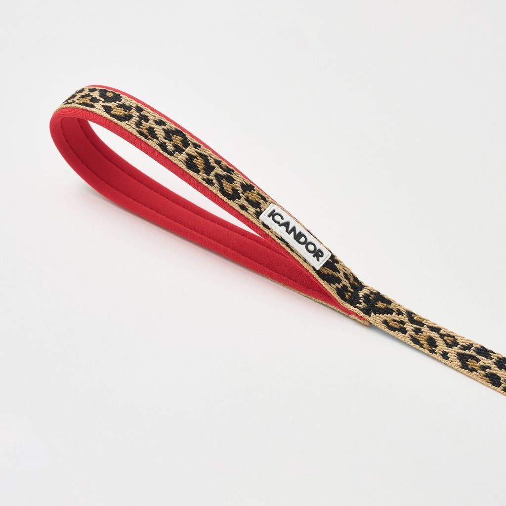 imgi_10_12bdc17f9231f9c8b590ee29c9690d87