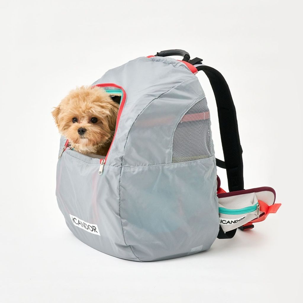 imgi_15_edd60171021a3ef0c186e23b88042d0e