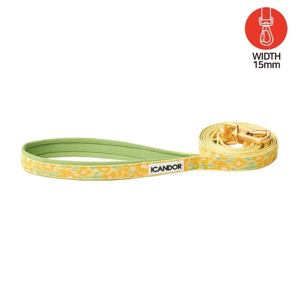 imgi_5_34d0127488b852eee73cf0226aace641